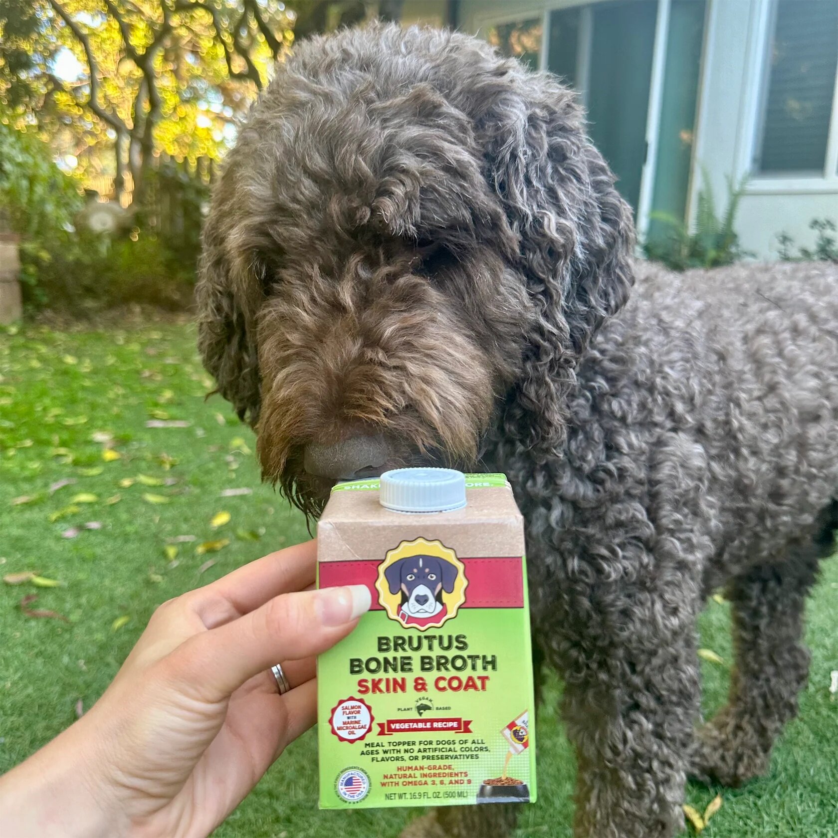 【现货】Brutus Bone Broth 全天然宠物蔬菜汤支持皮毛健康500ml