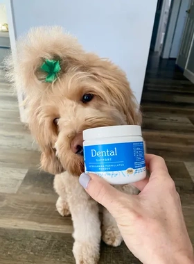 【现货】美国Fera pets洁牙粉狗 猫通用|去牙垢口臭|口腔护理 60g