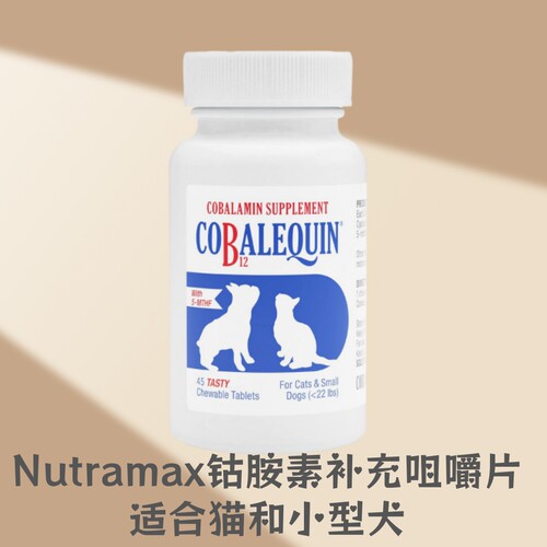 【现货】Nutramax 钴胺素 B12 咀嚼片 含5-MTHF 45片 2种剂量