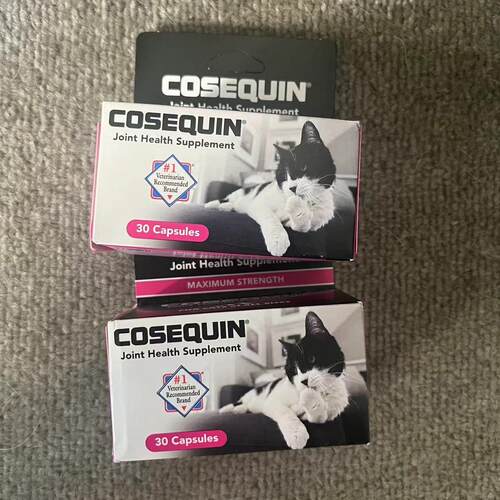 Cosequin氨糖软骨素猫咪服用
