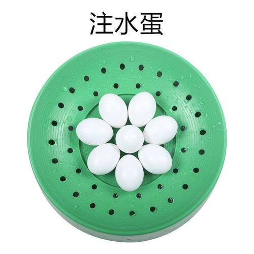 鸽子用品假鸽蛋仿真鸽蛋信鸽用品注水假蛋实心塑料假蛋鸽子蛋仿真