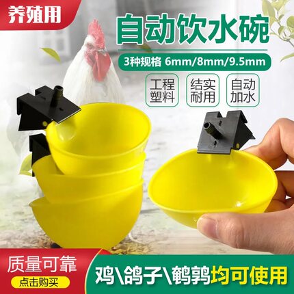 雏鸡芦丁鸡鸽子饮水器小鸡自动饮水碗鹌鹑养殖挂式圆形鸟类用品