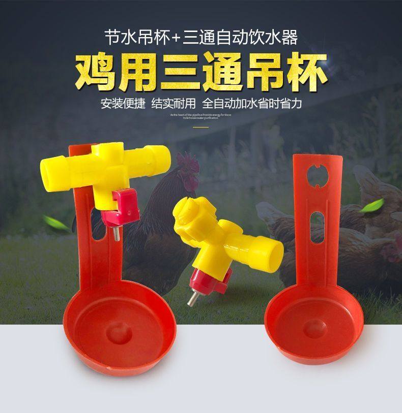 鸡用三通自动饮水器吊杯钢球乳头式水嘴软管用球阀式鸡笼喂水设备,畜牧/养殖物资,畜牧/养殖器械,淘宝优惠券,粉丝福利购,淘宝优惠卷