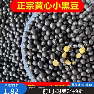 非转基因小黑豆黄心圆小黑豆打豆浆农家自产