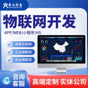 物联网APP开发 智能酒店共享系统智慧医疗养老农业数据分析信息化