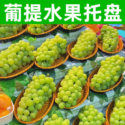 金色葡提水果托盘椭圆形生鲜食品级打包编织篮阳光玫瑰青提巨峰葡