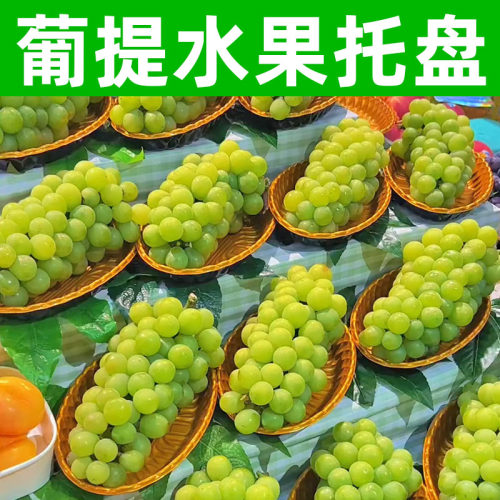 金色葡提水果托盘椭圆形打包盒