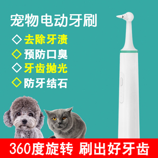 宠物电动牙刷狗狗猫咪专用清洁牙齿抛光器预防牙结石小犬尖头软毛