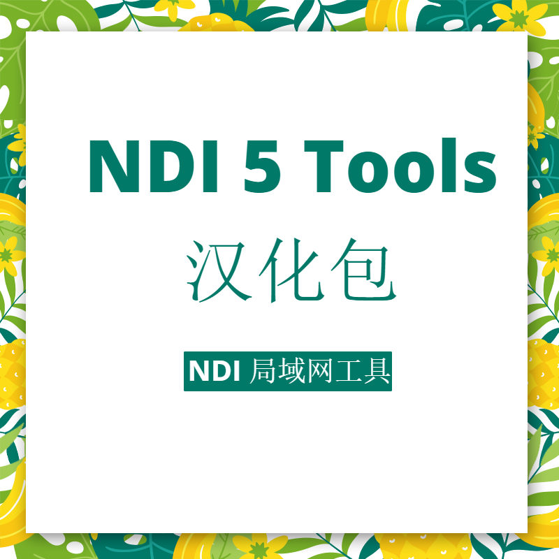 NDI5 tools 汉化包全套支持远程安装NDI采集局域网其它电脑画面