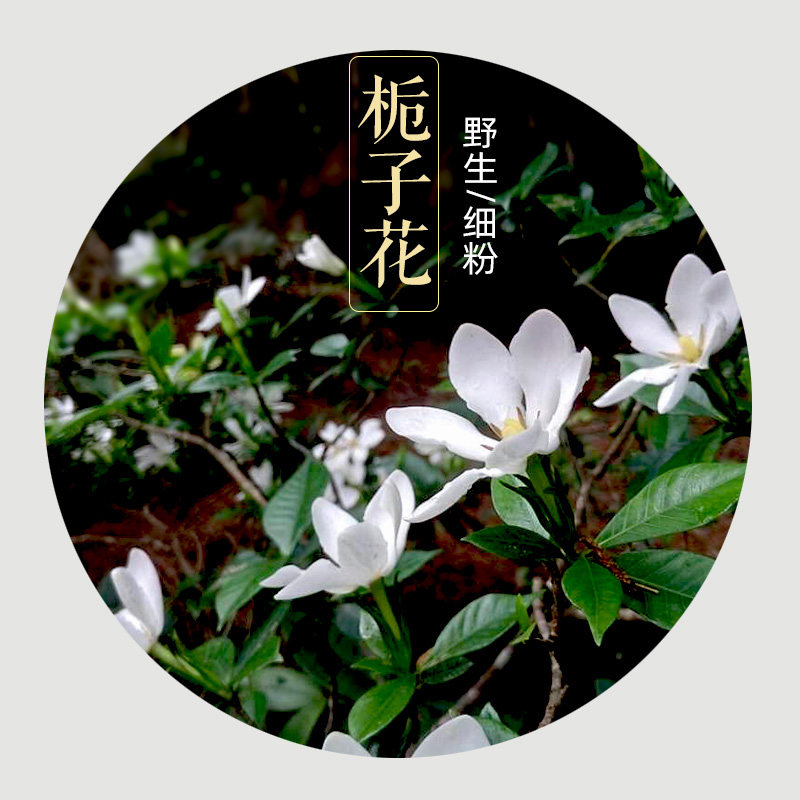 栀子花粉 野生栀子花细粉 单瓣天然自晒栀子花合香熏香粉香频尘芳