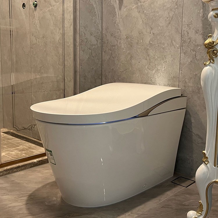 TOTO智能马桶CES8G520GCN诺瑞斯特全自动一体即热式感应坐便器