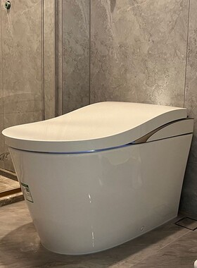 TOTO智能马桶CES8G520GCN诺瑞斯特全自动一体即热式感应坐便器