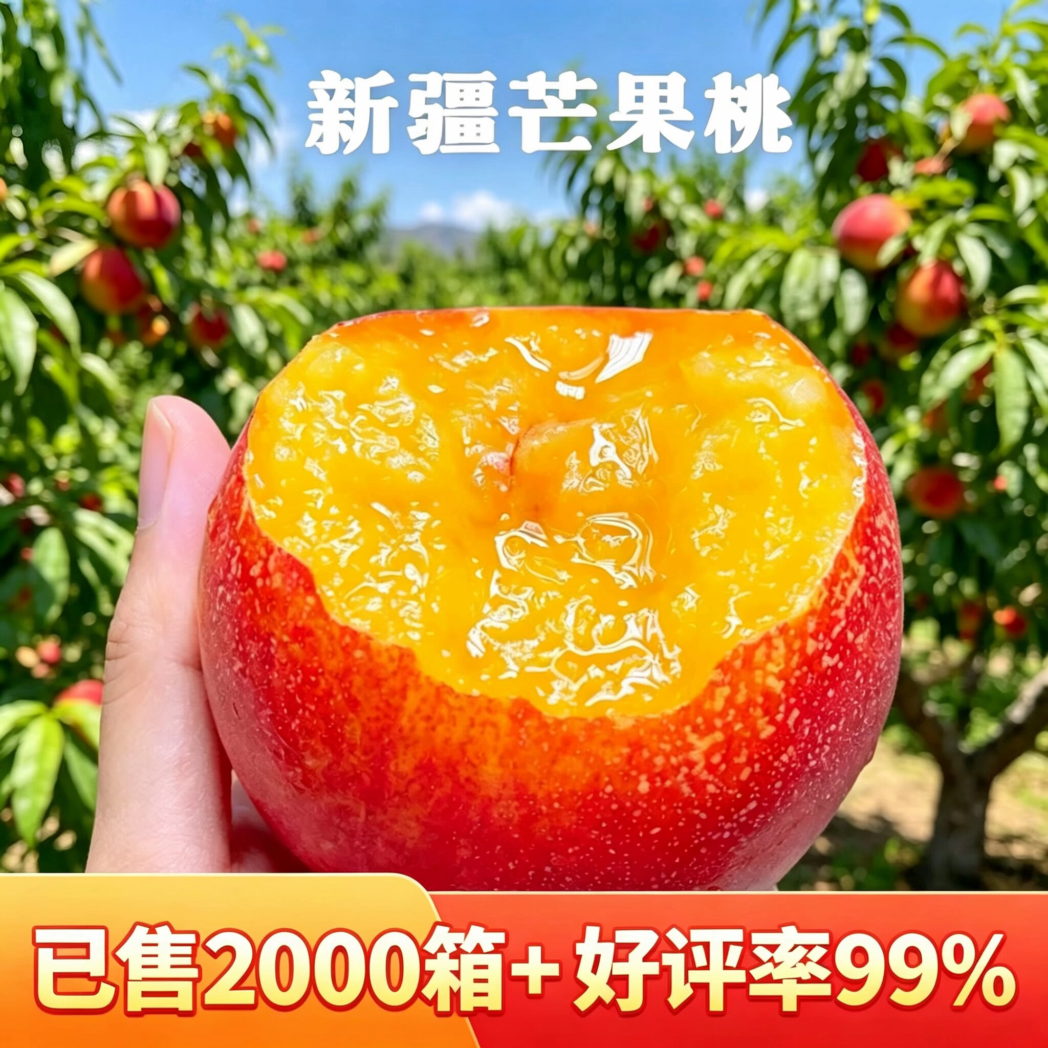 【想妮】新疆芒果桃黄肉油桃 沙王油桃新疆桃子新鲜水果 顺丰空运图片