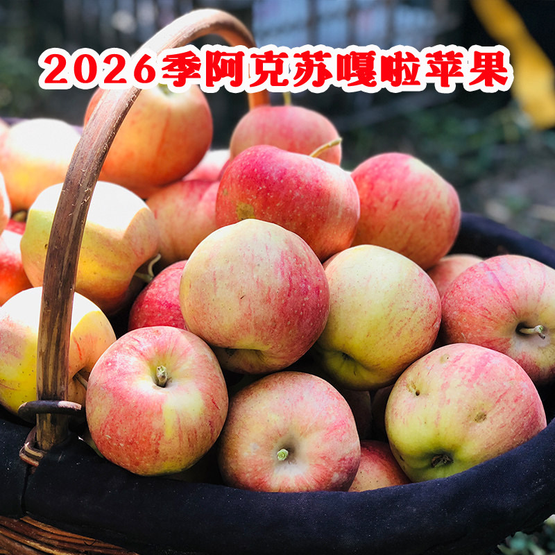 2026新疆阿克苏嘎啦苹果 早苹果
