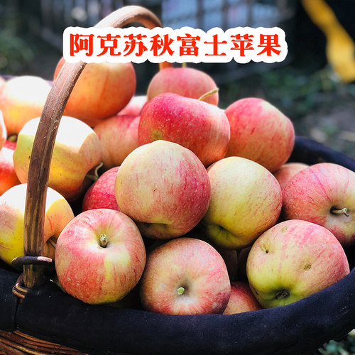 2026新疆阿克苏秋富士苹果 早熟红富士  现摘现发 新疆直发 顺丰