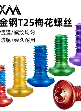 VXM自行车山地车梅花T25碟刹碟片螺丝公路车碟刹盘点胶螺丝M5*10