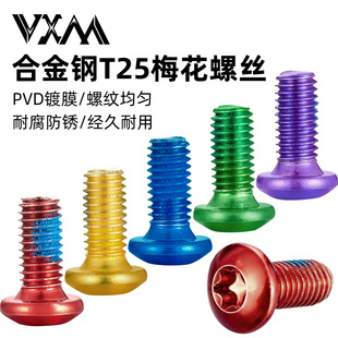 VXM自行车山地车梅花T25碟刹碟片螺丝公路车碟刹盘点胶螺丝M5*10