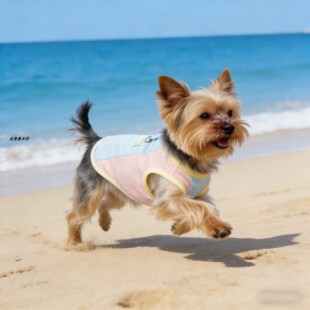 狗狗春款衣服2026新款约克夏春夏防脏小型犬宠物高颜值薄款外出