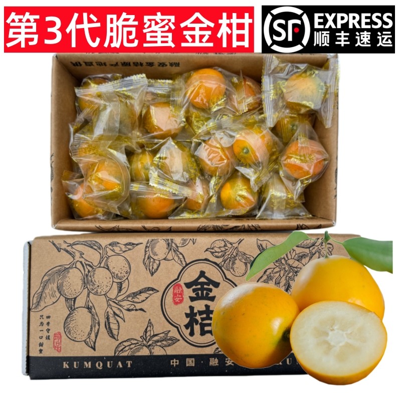 融安脆蜜金柑第3代金桔家庭装