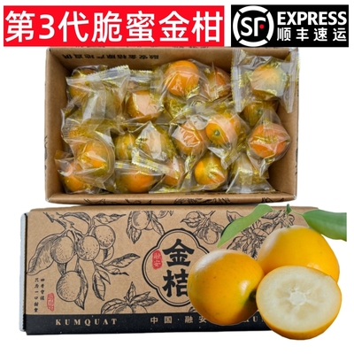融安脆蜜金柑第3代金桔家庭装