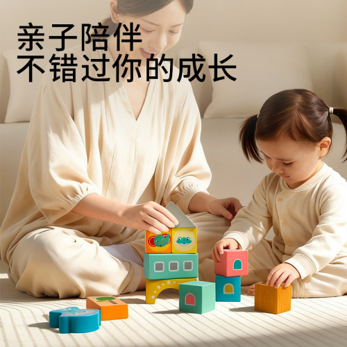 木玩世家木制大颗粒益智积木