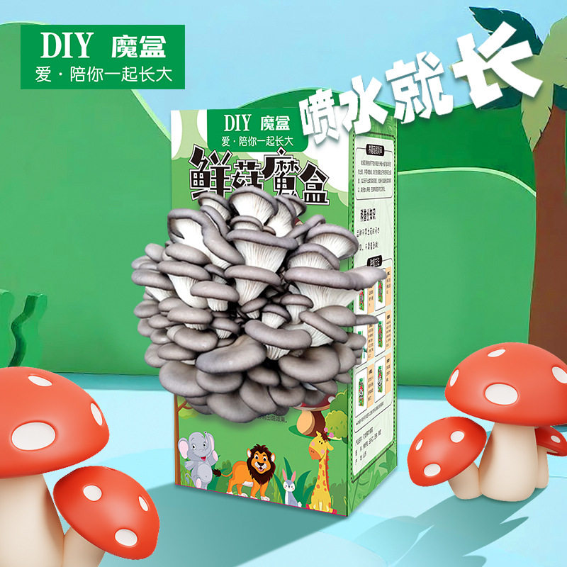 优质蘑菇盒子菌菌棒种植家用喷水蘑菇礼品幼儿园厨房植物盲盒多肉