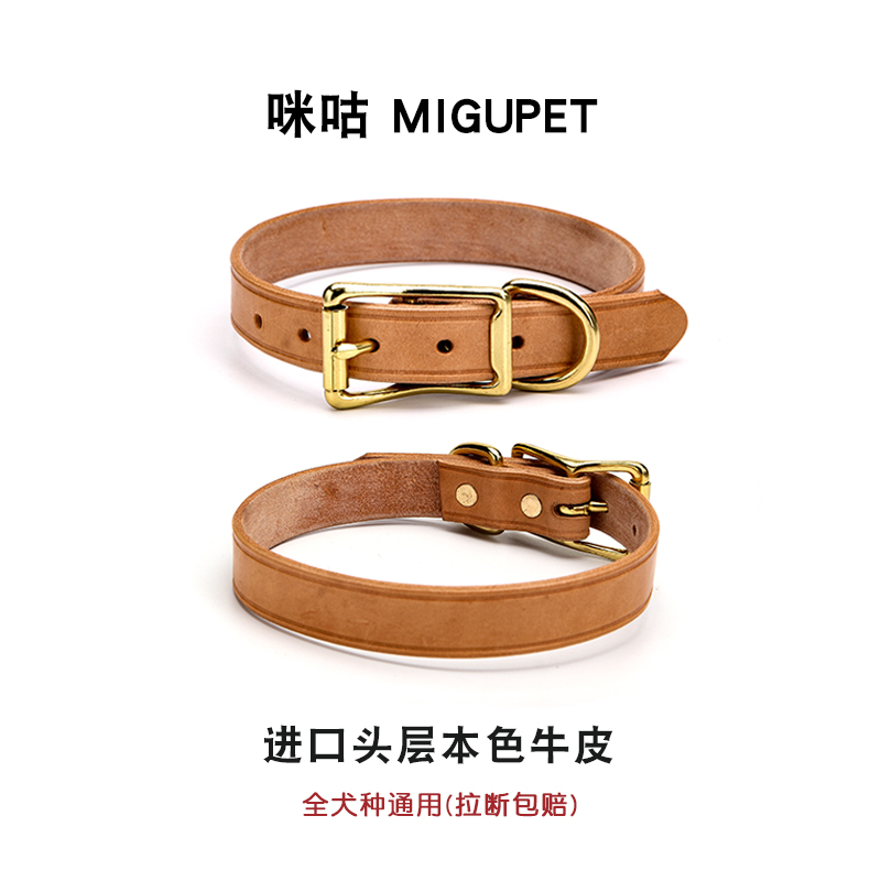 宠物项圈中大型犬金毛法斗狗