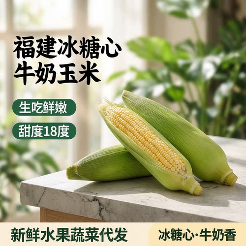 【 福建冰糖心牛奶玉米】生吃鲜嫩甜4斤新鲜水果蔬菜代发