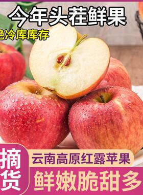 【云南昭通红露苹果】脆甜多汁非红将军红富士5斤新鲜水果代发