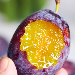 【智利西梅】女神果李子孕妇3斤新鲜水果一件代发