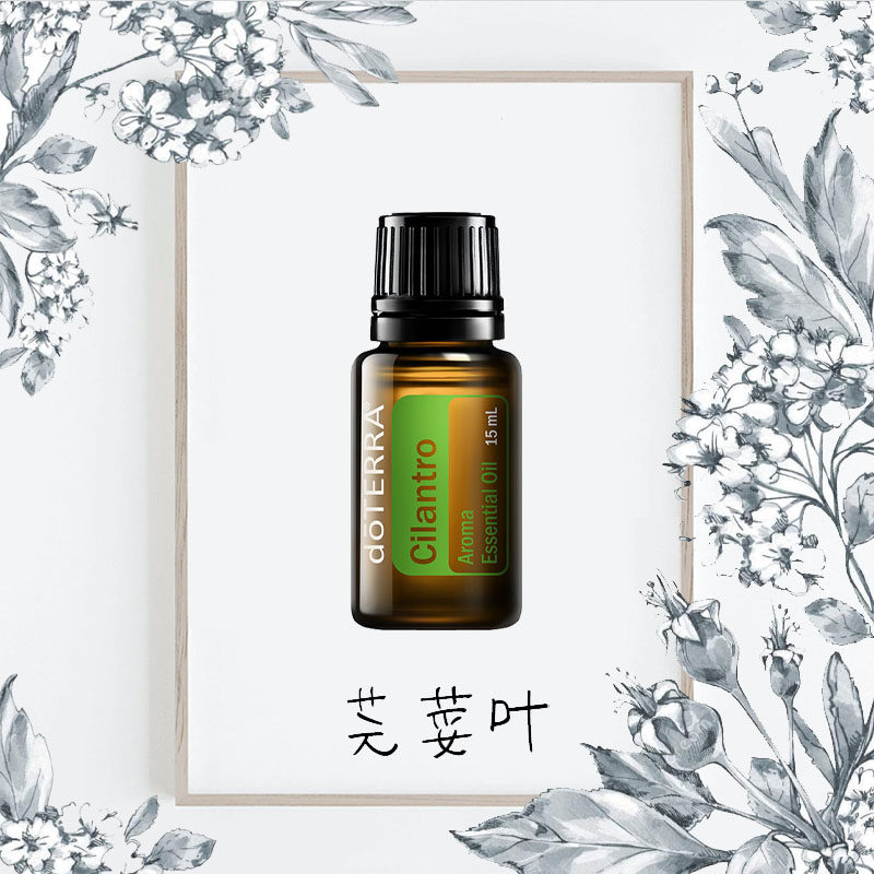 芫荽叶精油doterra多特瑞美国15ml单方精油胡荽叶平衡情绪刮码