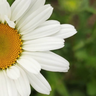 沧海遗珠（捡漏款，单条，部分无吊牌，不退换）