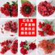 仿真花酒红色系花材婚庆吊顶路引装 饰布置玫瑰假花插花塑料绢花艺