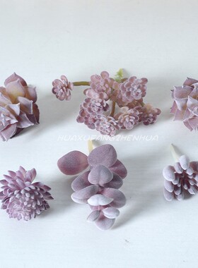 紫色系仿真植绒多肉植物绿植家居装饰小摆件迷你摆件组合人造盆栽