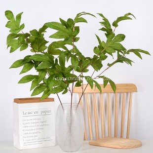 仿真植物大美叶假树叶家居装饰婚庆路引拱门插花背景榕树叶造景花