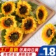 仿真向日葵欧式 假花单支太阳花田园风家居摄影舞蹈道具婚庆把花束