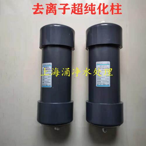 UP水纯化柱离子交换柱E50-4超纯化柱离子交换柱E60-4EK60-4