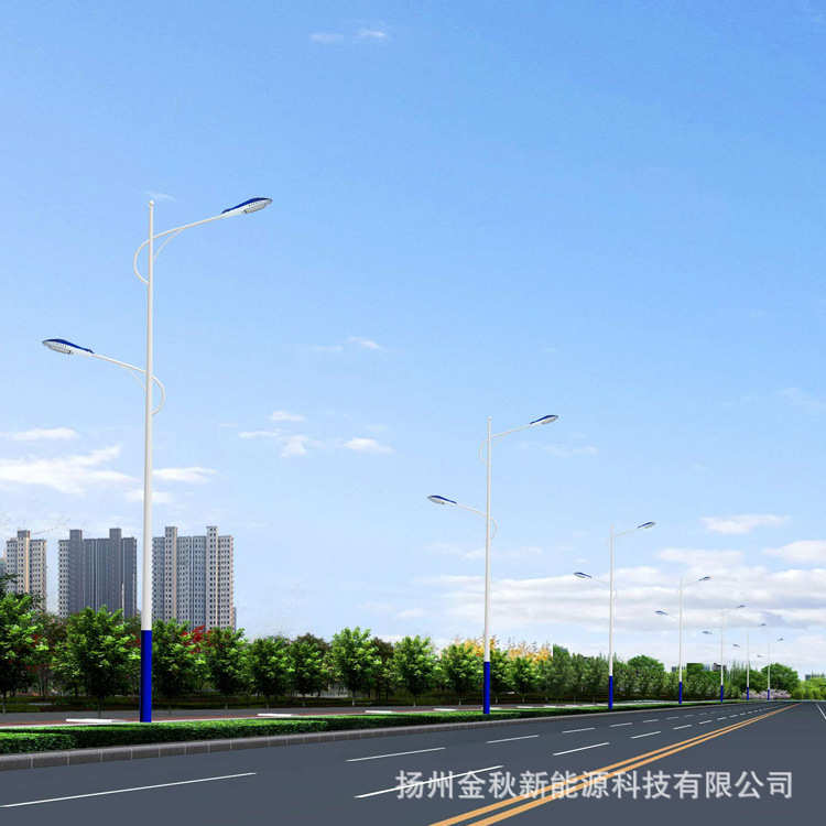 公路 12杆路灯100wled双臂米路灯米路灯批发市电热镀锌米米6810