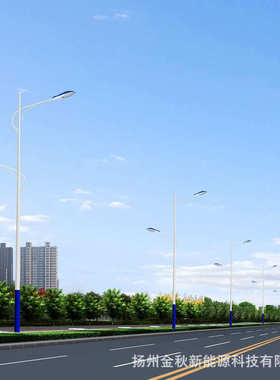 100wled市电杆路灯 米路灯批发10双臂路灯6热镀锌 米8米公路12米