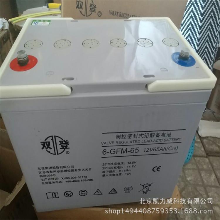 江苏双登铅酸蓄电池6-GFM-100/双登蓄电池12V100AH