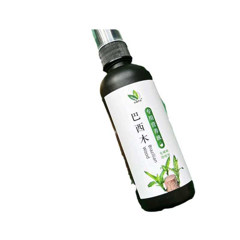 巴西木发霉幸运液体促底部营养液防木水培肥芽生根黄叶肥料专用爆