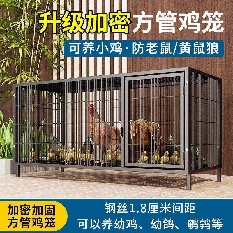 XMZZ128鸡笼子特大号加粗家用养殖笼自动滚蛋母鸡笼可折叠铁笼子