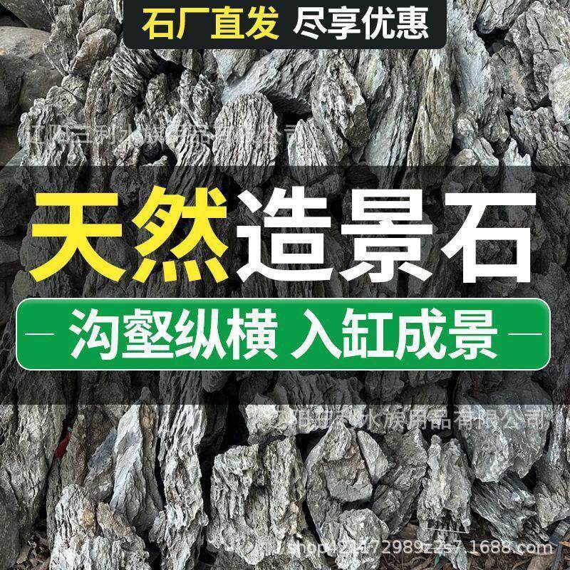 青龙石景观石溪流石鱼缸造景石盆栽真石头草缸假山小块盆景微景观