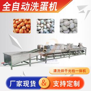 畜牧养殖业鸭蛋鹅蛋去污去泥清洗机器商用鸡蛋清洗不锈钢设备