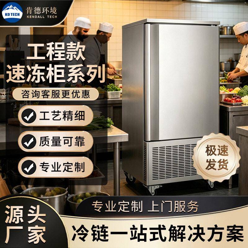 商用速冻机海参海鲜面团生胚包子油条饺子速冻柜低温急速冷柜冰柜