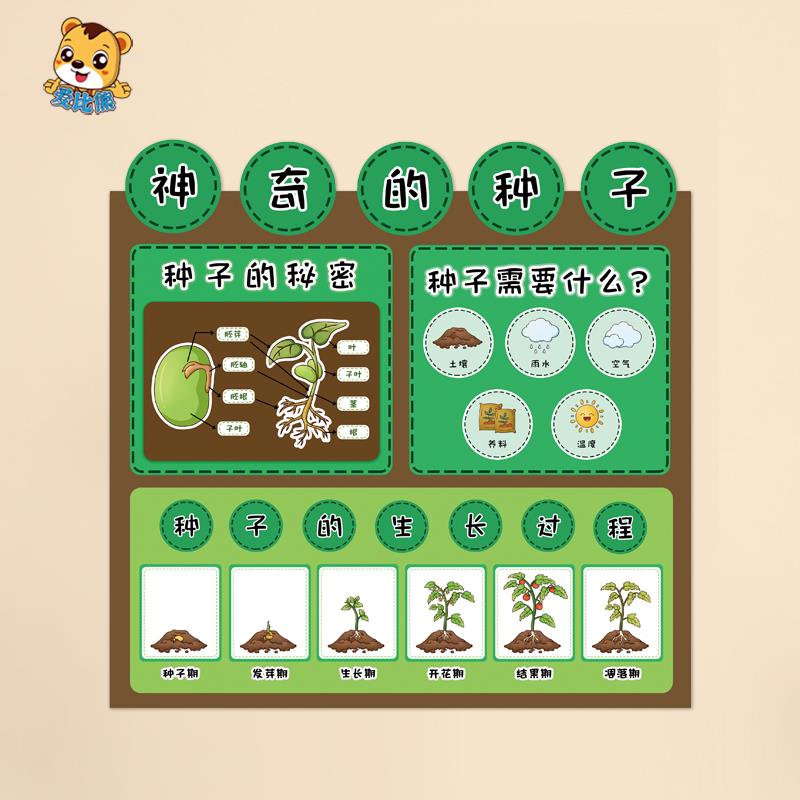 幼儿园自然区植物角墙面环创布置装饰图神奇的种子种植成长小帮手