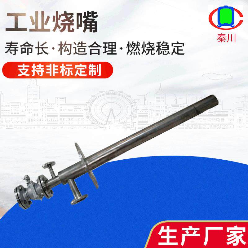 酸性炉点火烧嘴耐腐蚀耐高温火焰刚直加热炉自动点火枪