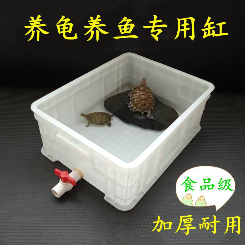 家用塑料养龟箱 小型金鱼盆巴西龟池 带排水孵化盒专用饲养箱