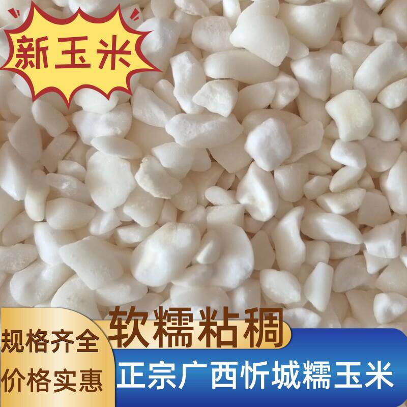 白糯玉米糁玉米渣玉米粒晒干去皮杂粮煮粥广西忻城特产新粮
