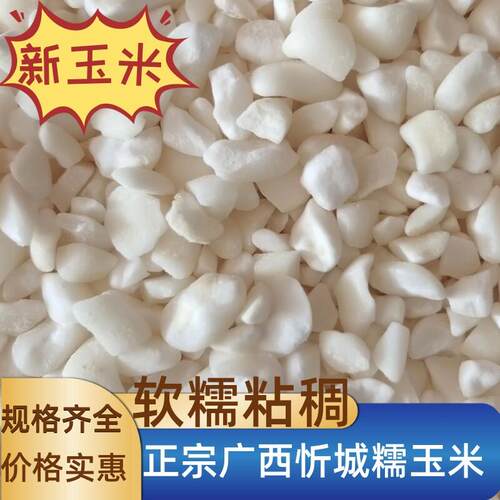 白糯玉米糁玉米渣玉米粒晒干去皮杂粮煮粥广西忻城特产新粮